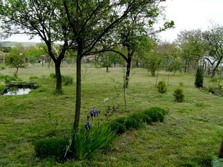 Lower garden