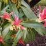 1st_may_002