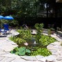 pond