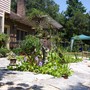 Back Garden