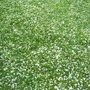 Snow in spring?