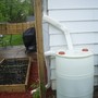 Rain Barrel