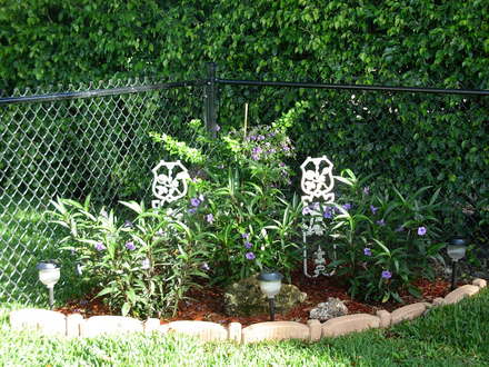 Purple Showers (Ruellia brittoniana)