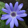 Sat_3_may_003