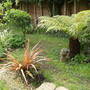 Site of new path