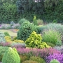 English_conifer_garden_