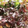 Sat_3_may_028