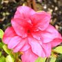 Sat_3_may_017