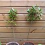 Sat_3_may_026