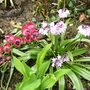 Sat_3_may_035