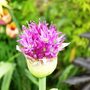 Sat_3_may_016