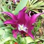 Sat_3_may_037