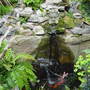 Garden__views_may_4th_2008_030