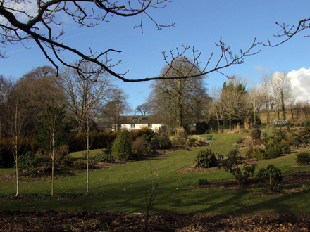 Garden from 