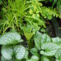 Garden__views_may_4th_2008_028