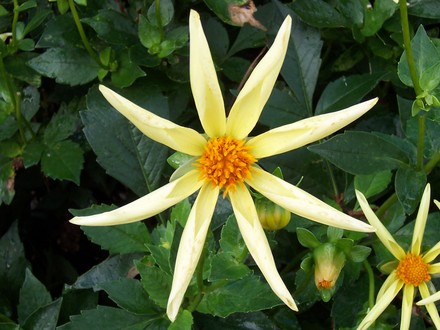 At Wisley