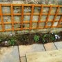 Sat_3_may_018