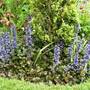 Sat_3_may_015