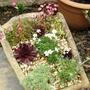 Sat_3_may_039