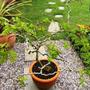 Sat_3_may_063