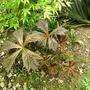 Sat_3_may_052