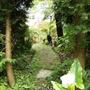 New path