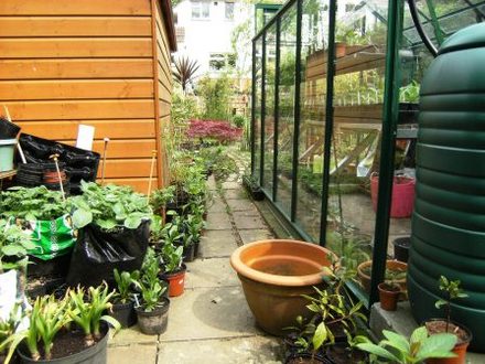 Path by greenhouse/shed to bottom of the garden.