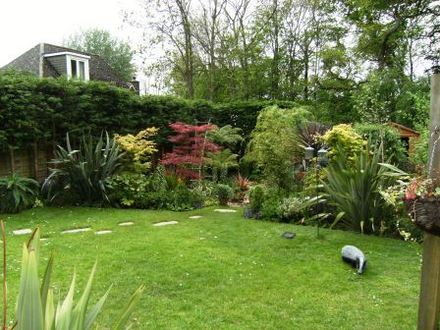 Garden in May 08.