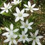 Sat_3_may_045
