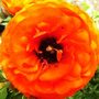Sat_3_may_046