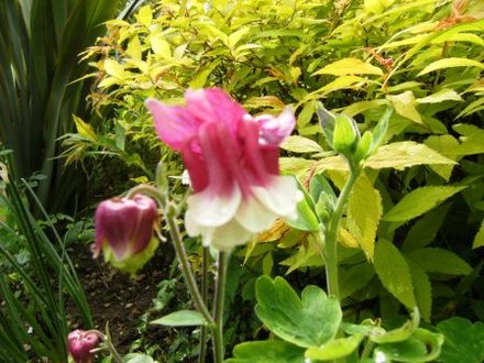 Sat_3_May_049.jpg