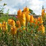 Dscn0703