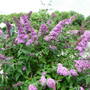 Dscn0700