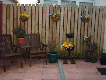 my garden 