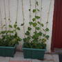 My_documents_my_pictures_062