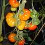 My_pics_1_008