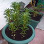 My_documents_my_pictures_070