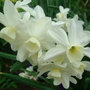 Dsc00830