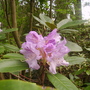 Pict0038