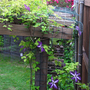 Camraw_025