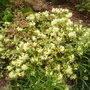 Pict0044