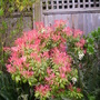 Pict0023