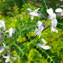 5-4-08_065