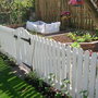 My veg garden photo 1