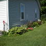 July_sideyard_2