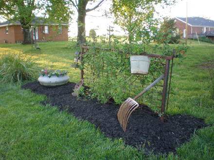 garden 2008