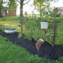 garden 2008