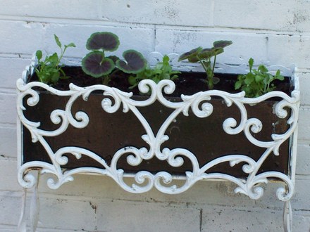  £1 Iron Planter all Planted up now