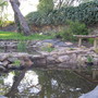 Pond slowly taking shape.