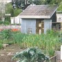 My other gardening site